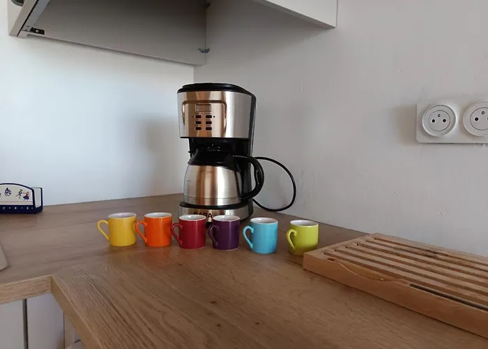 Appartement Lumineux 45m² à - Animaux Acceptés - Fr-1-540-333 Notre-Dame-de-Monts